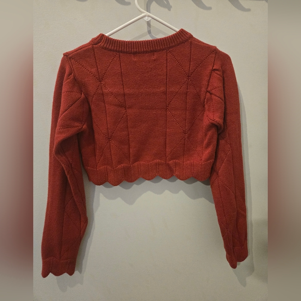 Rust Cropped Knit Sweater - Picture 3 of 6